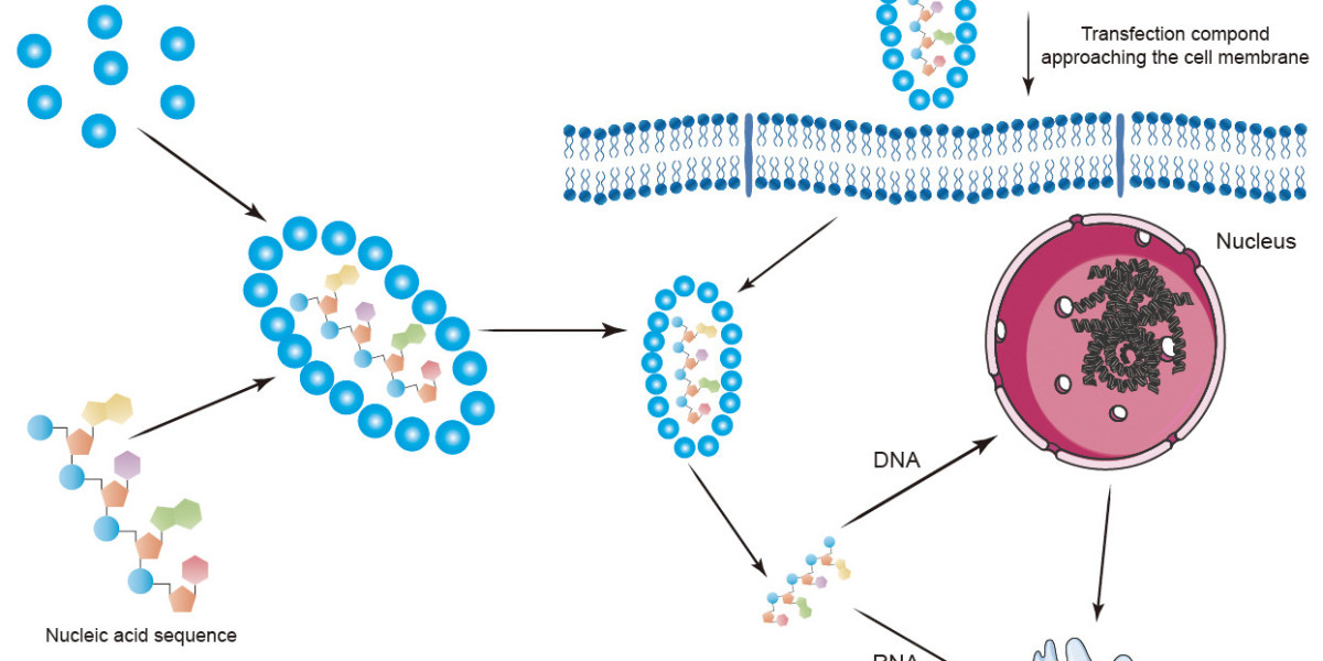 CD Bioparticles Announces Broad Range of Aptamers for Targeted Delivery and Research Applications