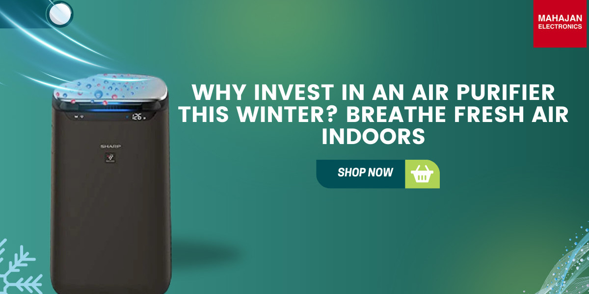 Why Invest in an Air Purifier This Winter? Breathe Fresh Air Indoors