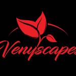 Veny Scapes Profile Picture