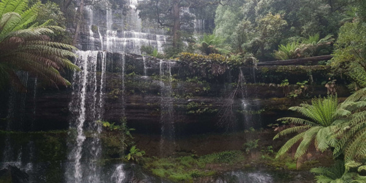 A Perfect Cradle Mountain Day Trip with Wild Tasmania Tours