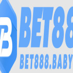 bet888baby Profile Picture