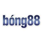 BONG88vn co Profile Picture