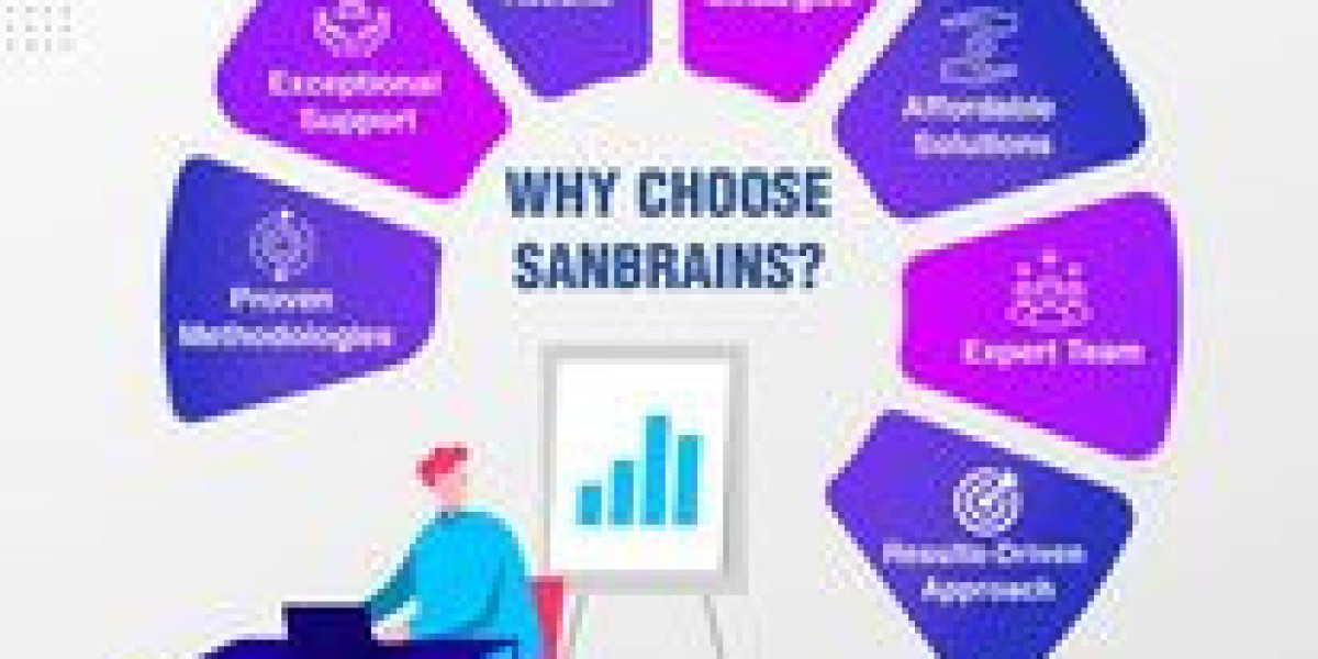 Why Sanbrains Agency is the Best Digital Marketing Agency in Hyderabad