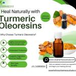 Turmeric Oleoresin Exporter Manufacturer in USA Profile Picture