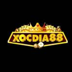 xocdia88to Profile Picture