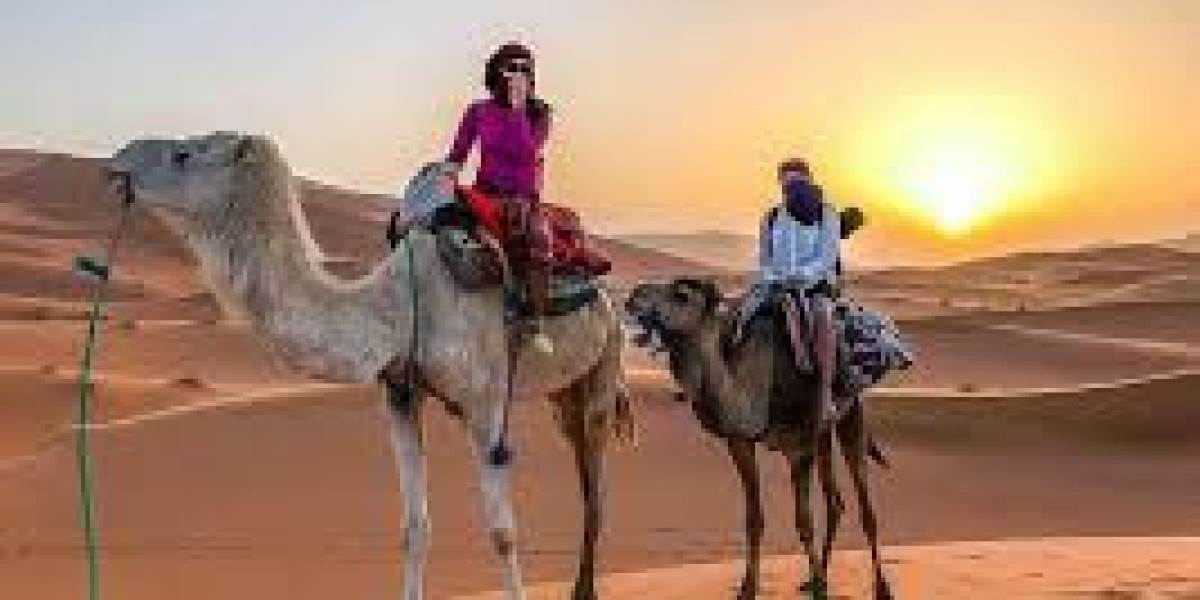 Unveiling the Wonders of Morocco's Desert Adventures