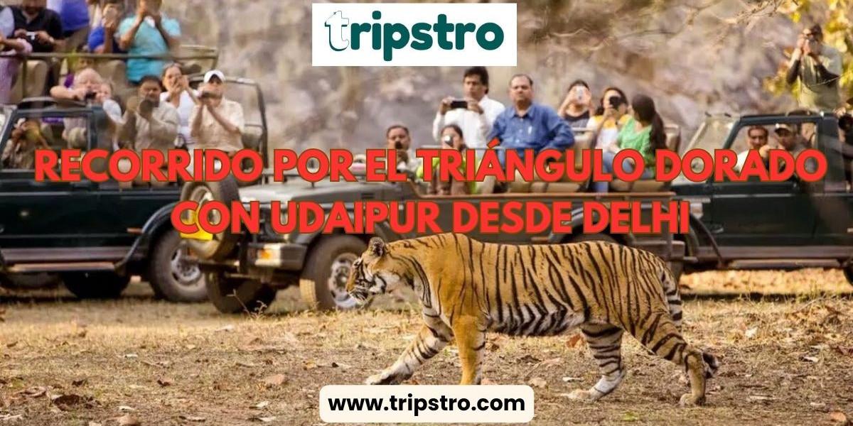 Itinerarios Sugeridos para Explorar el Triángulo Dorado y el Parque Ranthambore