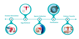 Best IVF Clinic in Noida, Delhi: Why Ghaziabad Couples Trust Little Angel IVF for Their Fertility Journey