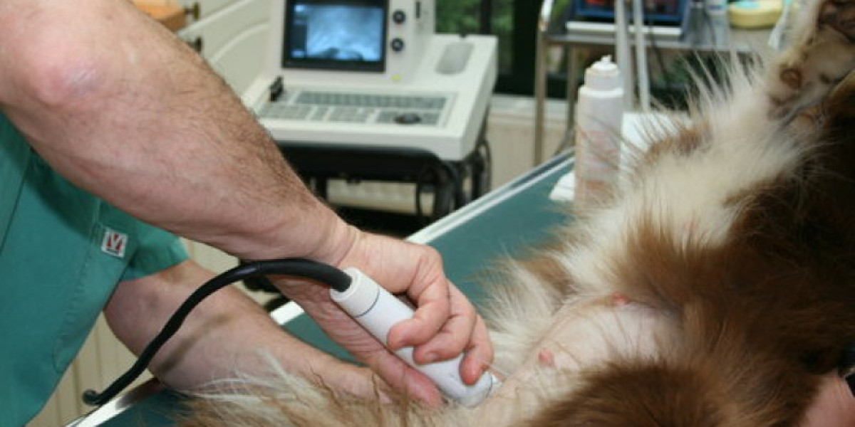 How Much Is An Allergy Test For A Dog At The Vet