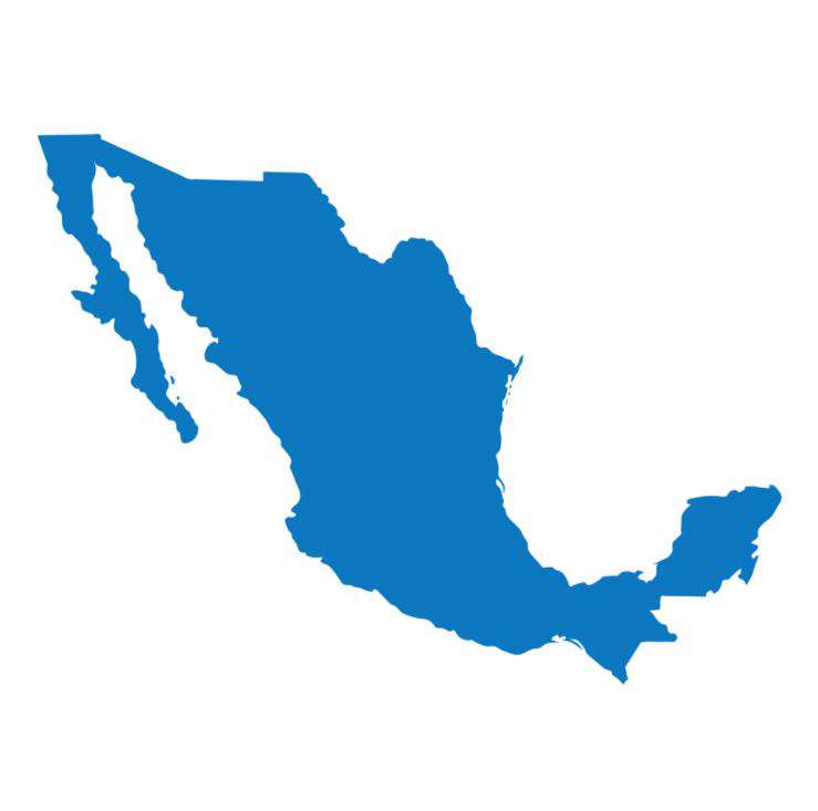 Mexico Import Data, Mexico Customs Data, Mexico Shipments Data