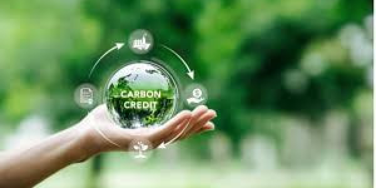 What is the Role of Carbon Registries in the Carbon Credit Exchange?