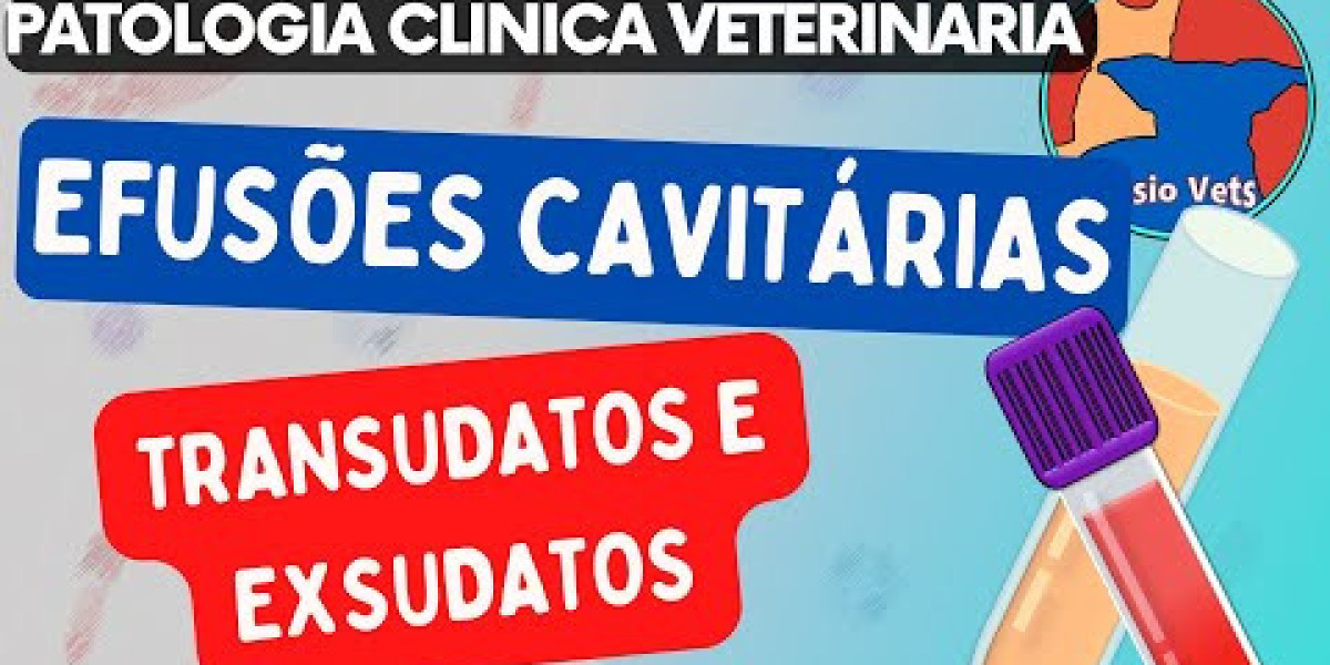 PRÉ 3 Veterinário: A Chave para a Saúde Duradoura do Seu Pet