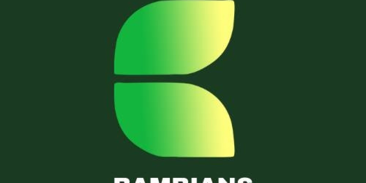 Embrace Sustainability with Bamboo Organic T-Shirts for Men by Bambians