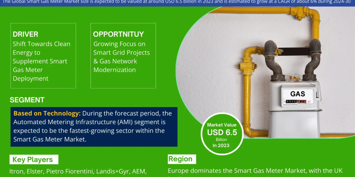 Insights into the Smart Gas Meter Market: Share, Demand Trends, and Growth Analysis