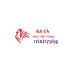 Đá Gà Trực Tiếp Thomo Hôm Nay Profile Picture