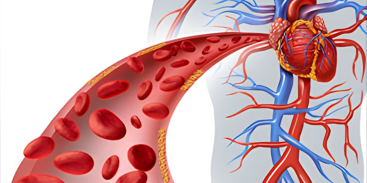 Cholesterol Testing System: Detailed Report on Manufacturing, Cost and Setup Details