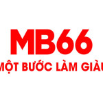 mb66photo Profile Picture