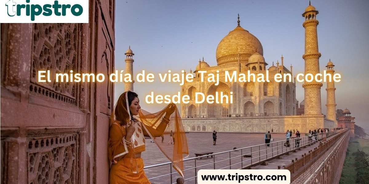 El Viaje Perfecto: Visita al Taj Mahal en Coche desde Delhi en Solo Un Día