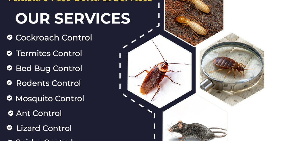 Effective Pest Control in Hyderabad | A Guide to Choosing the Best Services