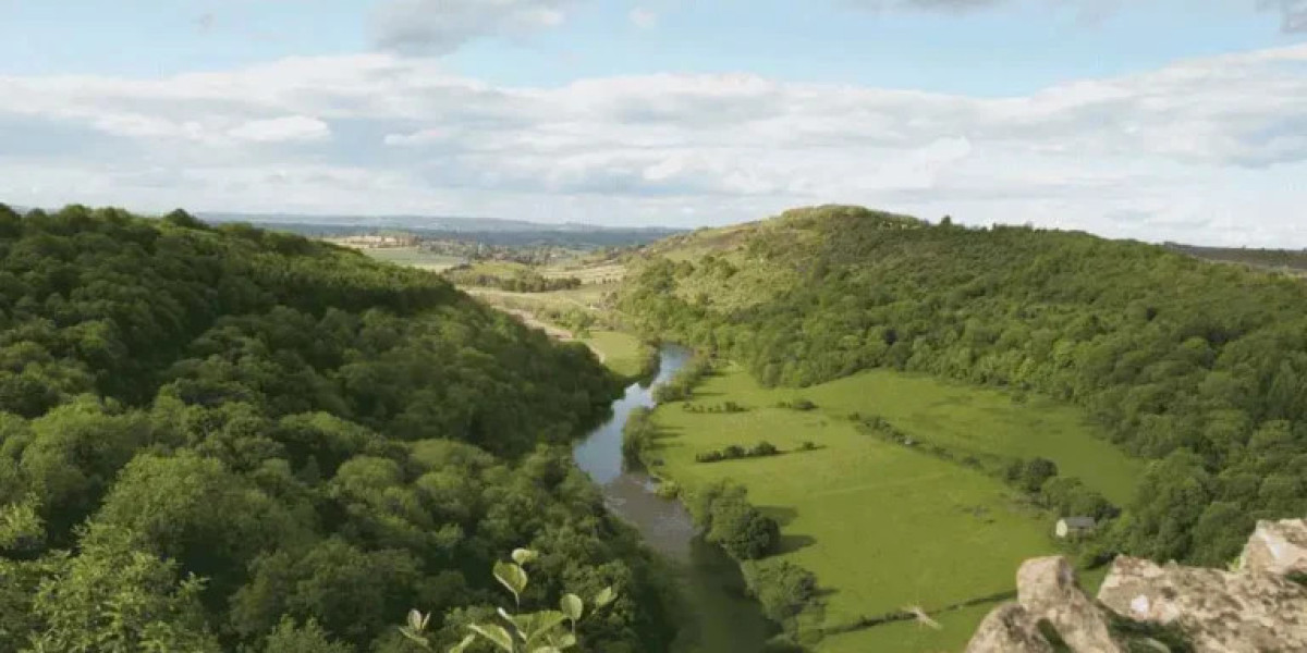 Explore The Best Things To Do In The Forest Of Dean