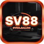 SV88 Profile Picture