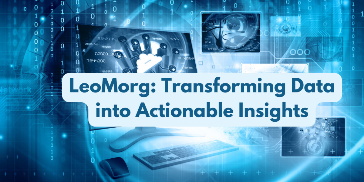 LeoMorg: Transforming Data into Actionable Insights