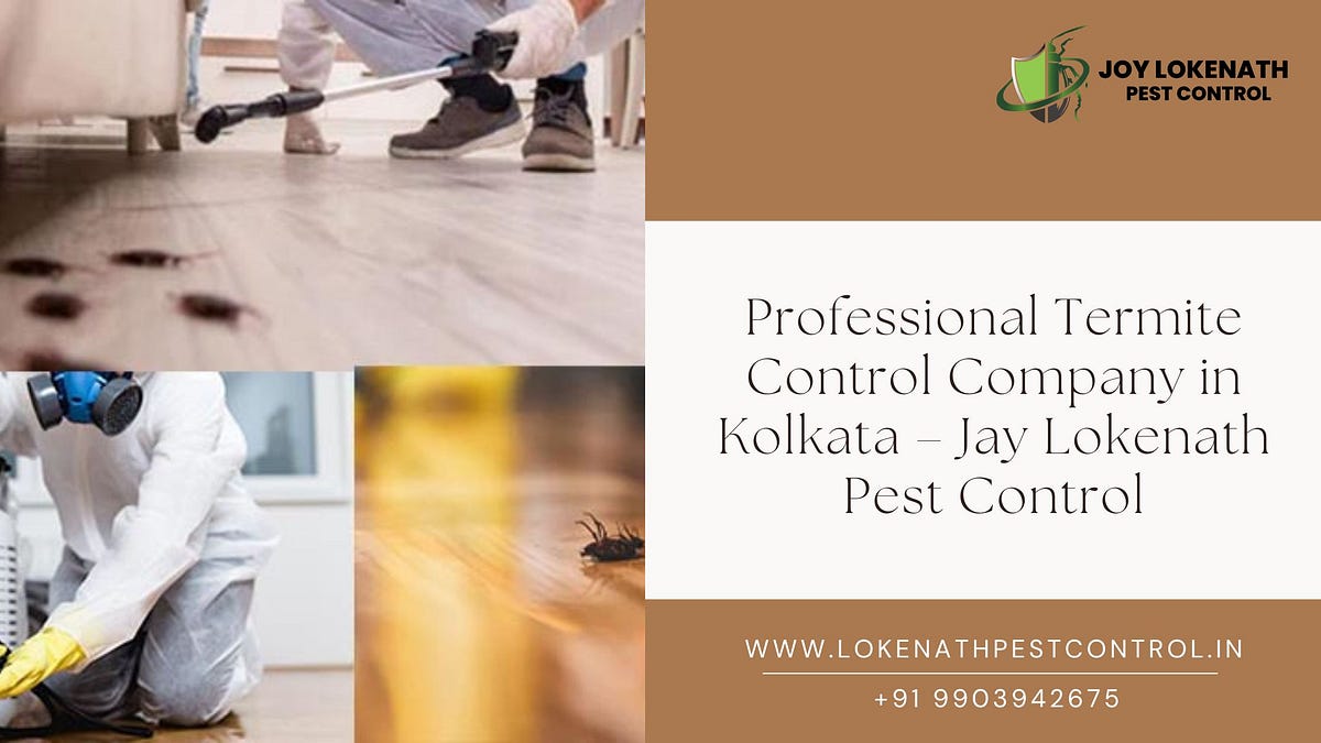 Professional Termite Control Company in Kolkata — Jay Lokenath Pest Control | by Jay Lokenath Pest Control | Jan, 2025 | Medium