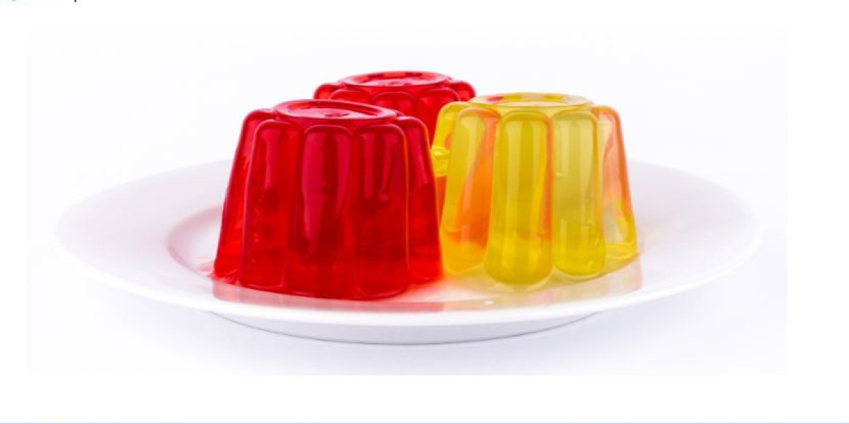 Gelatin Manufacturing Plant Project Report 2025: Key Insights and Requirements