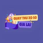 Quay Thử Xổ Số Gia Lai Profile Picture