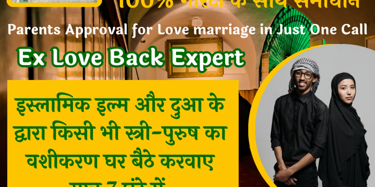 Ex Love Back Expert