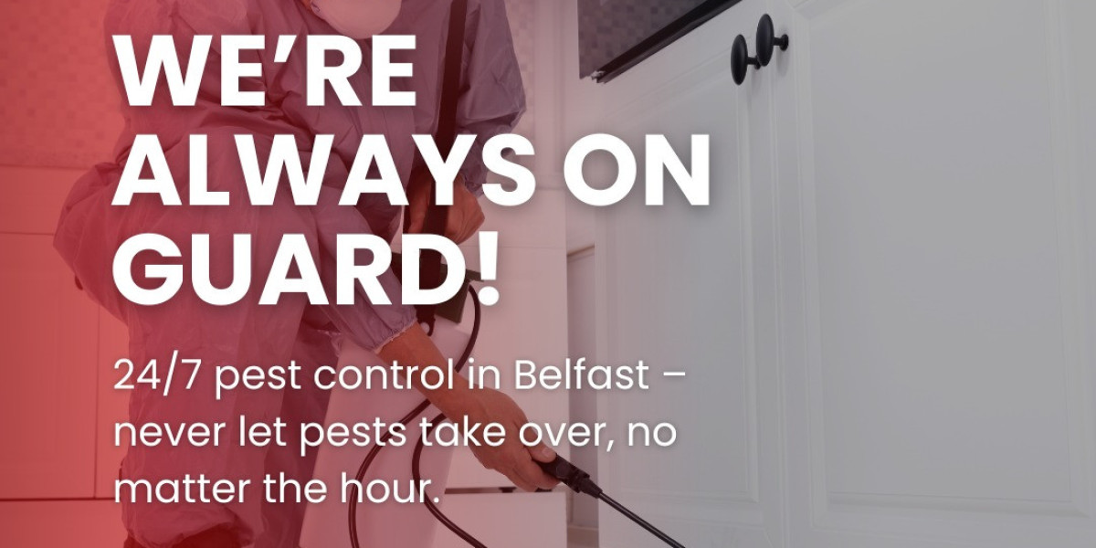 Professional Belfast Pest Control, Emergency Pest Services, and Expert Pest Control Newry