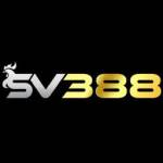 SV388 Profile Picture