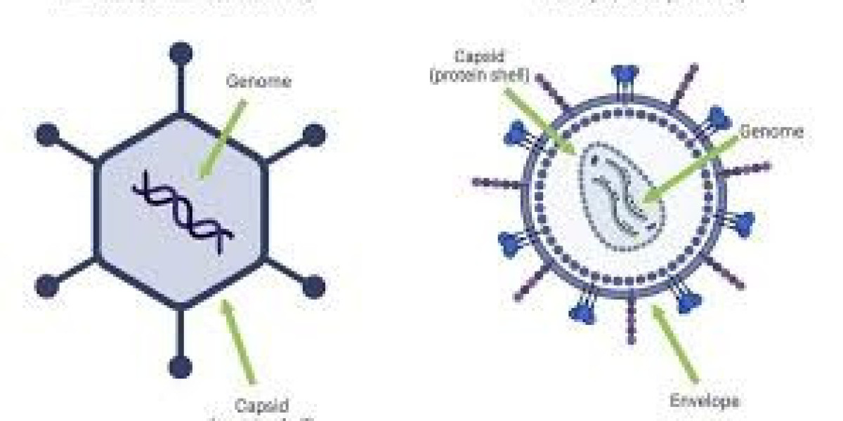 Mechanisms of Virus Vector Transmission in Modern Medicine