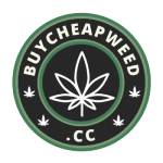 bcwcanada Profile Picture