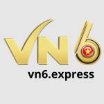 vn6 express Profile Picture