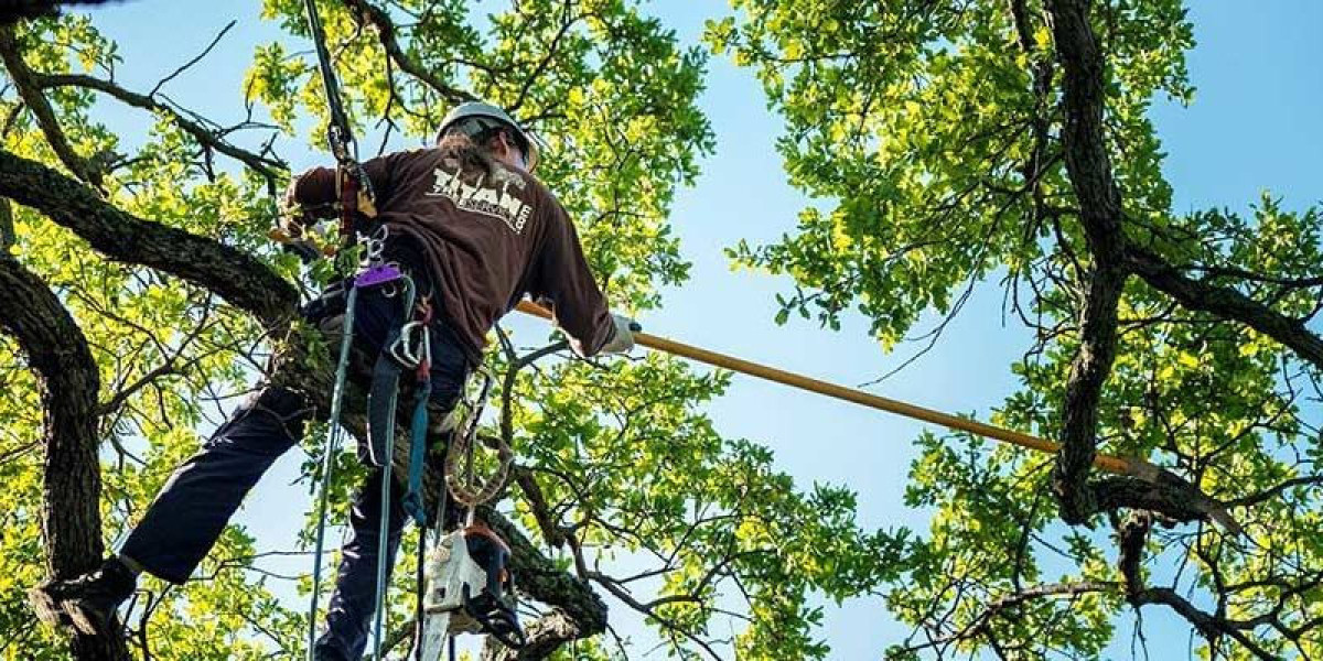 Baxter's Tree Service: Your Expert Tree Care Professionals in Burlington, WA