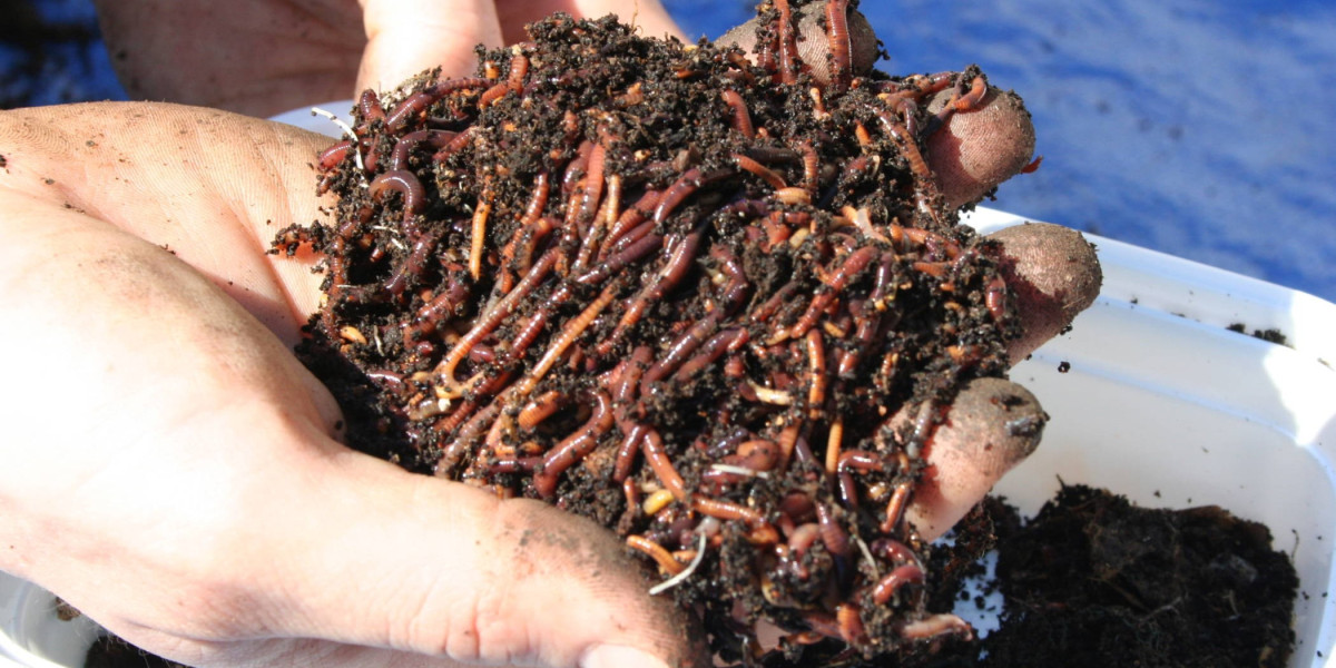 Vermicompost Manufacturing Plant Project Report 2025: Investment Opportunities and Industry Trends