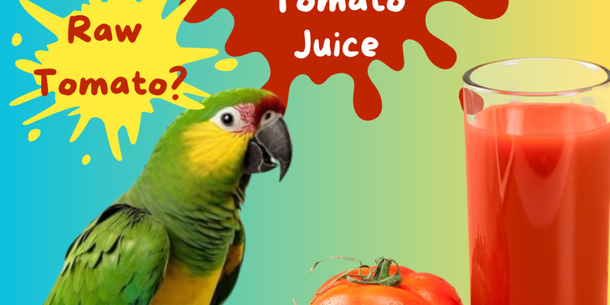 Raw Tomatoes For Parrots? Healthy Or Hazardous