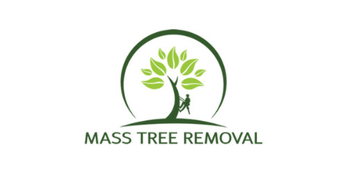 Top Tree Services in Quincy