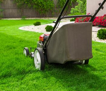 Professional Lawn Mowing & Lawn Care Services – Lawn Repair Service in Waikato NZ - Grass Master