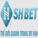 SHBET Casino Profile Picture