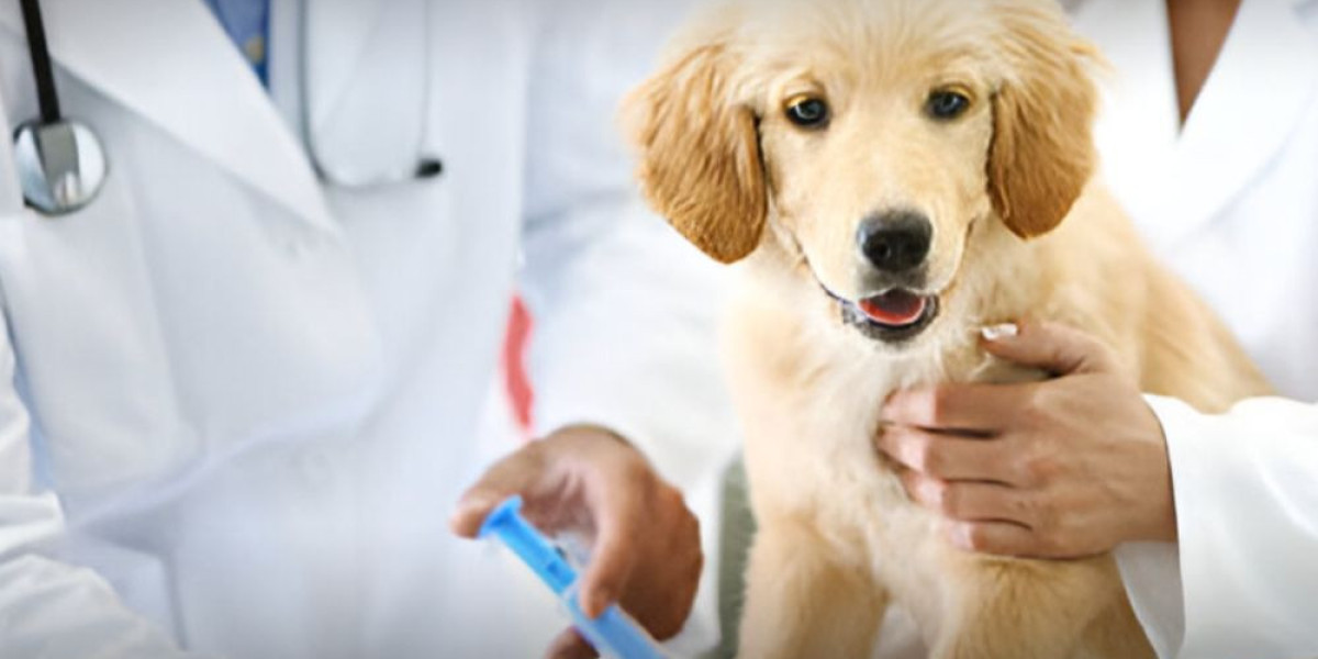 Veterinary Vaccines Market Strategies, Competitive Analysis, and Future Developments for the Next 5 Years