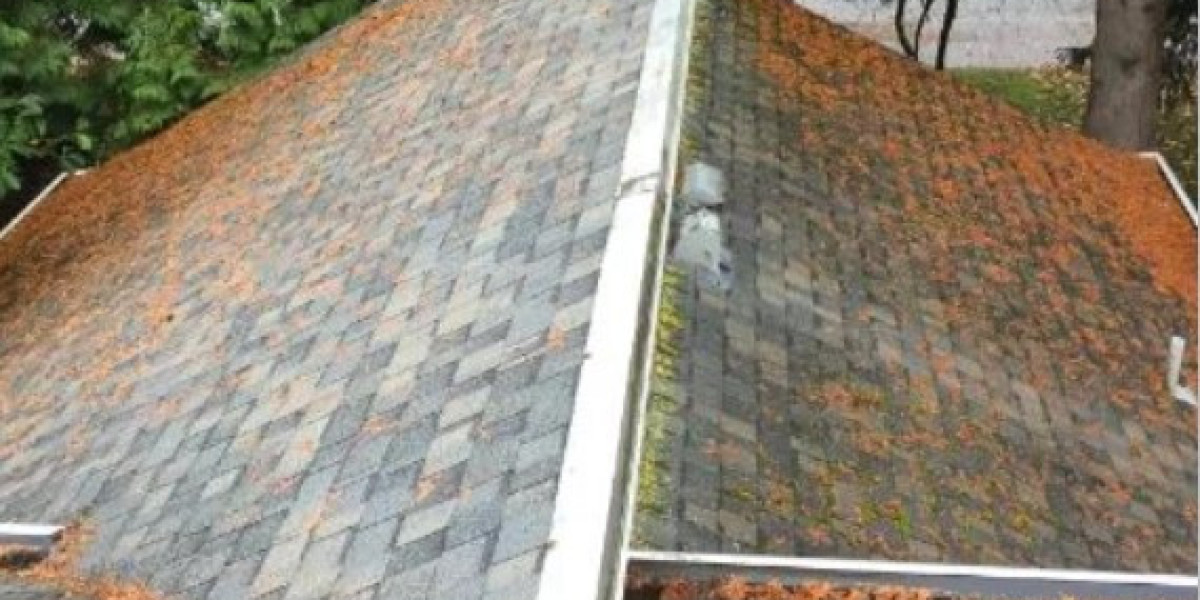 Roof Cleaning and Moss Removal: A Must for a Long-Lasting Roof