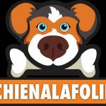 Chienalafolie Profile Picture