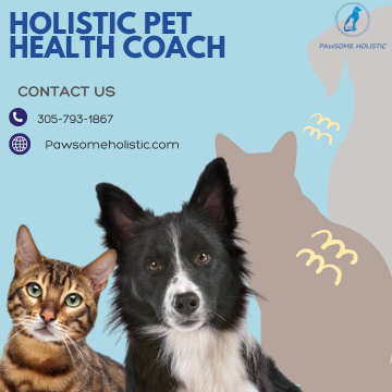 Holistic Pet Health Coach - Social Social Social | Social Social Social