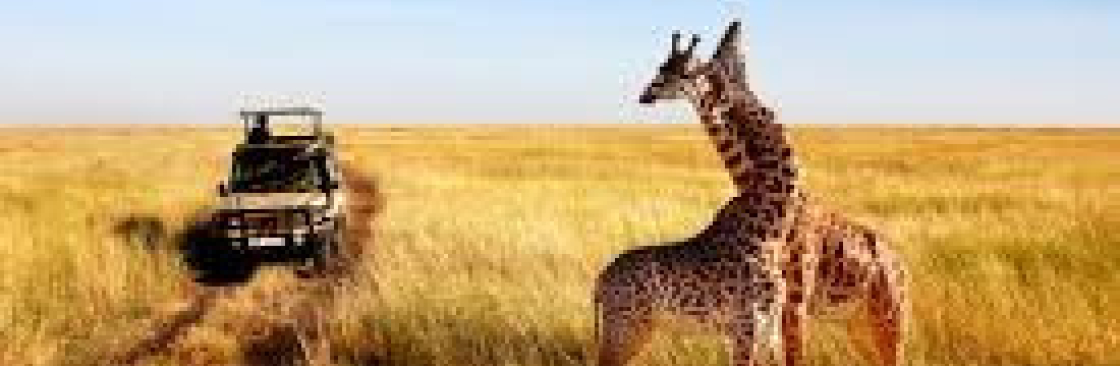 Tanzania Safari Holidays - Asante Travel Group Cover Image