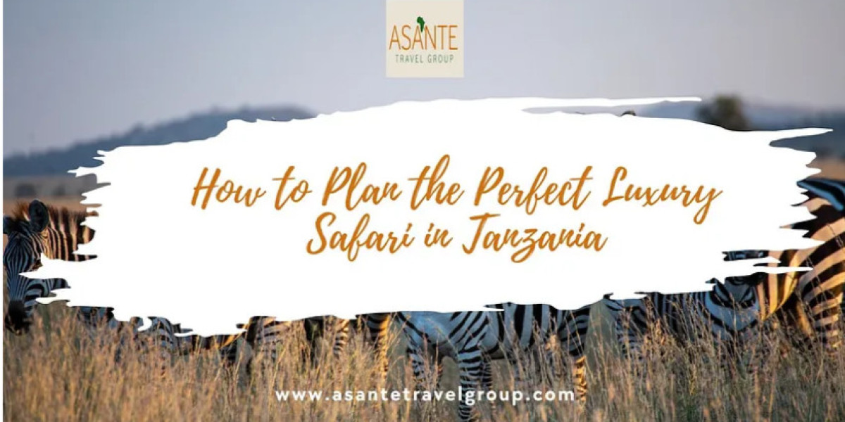 How to Plan the Perfect Luxury Safari in Tanzania