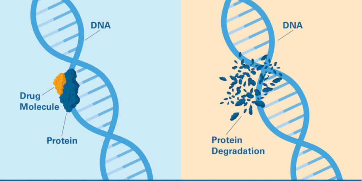 Targeted Protein Degradation Market: Bridging Drug Discovery with Therapeutic Success