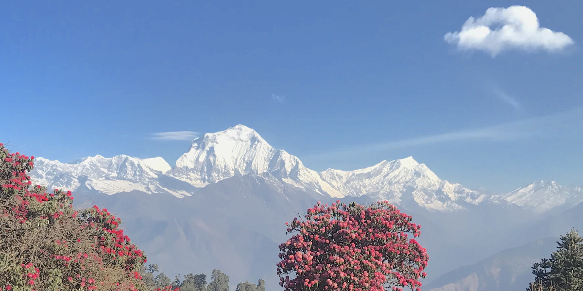 Poon Hill Trek in May