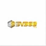 sv368ainfo Profile Picture